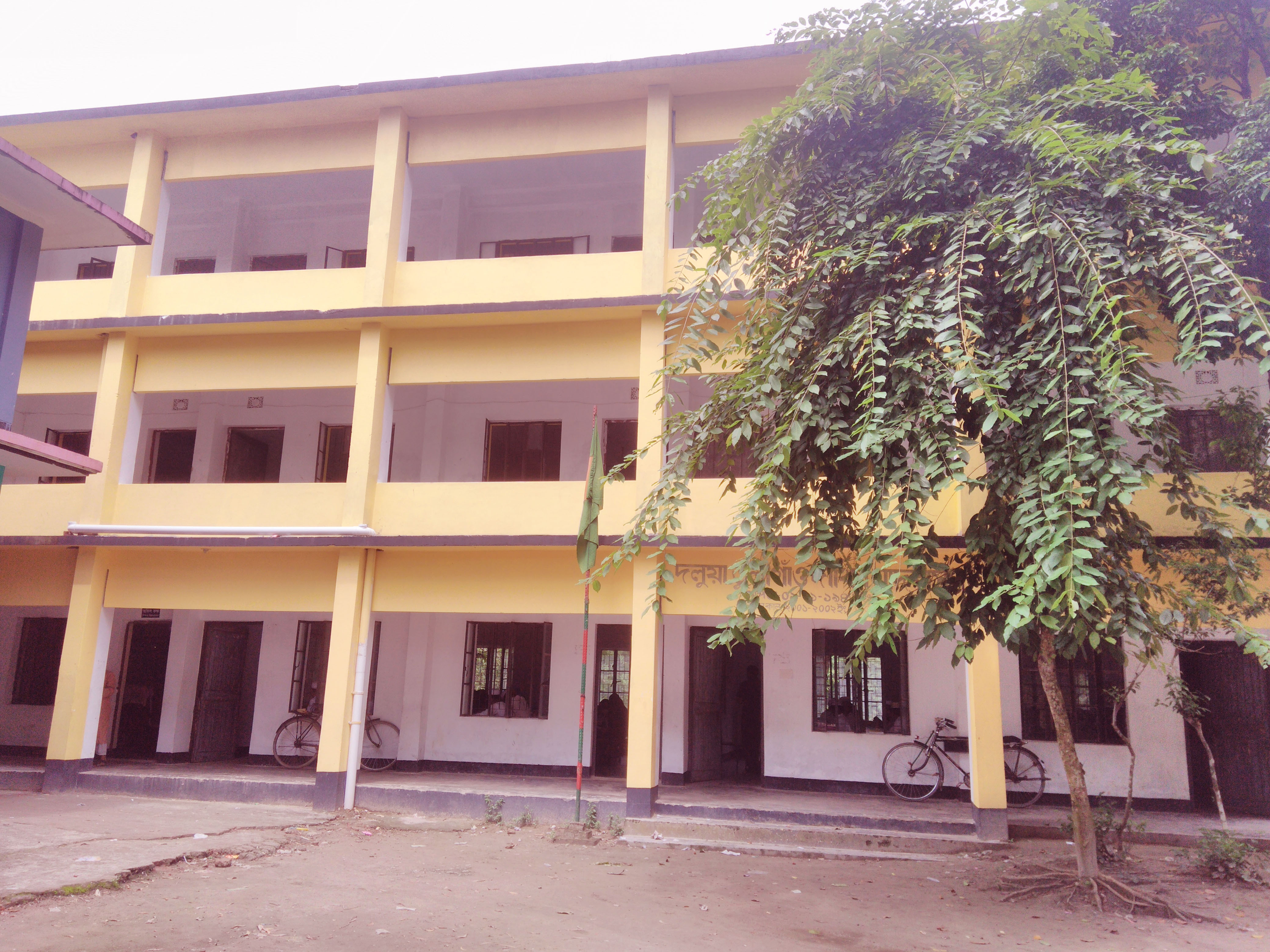 Institute History